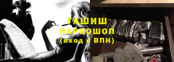 индика Алзамай