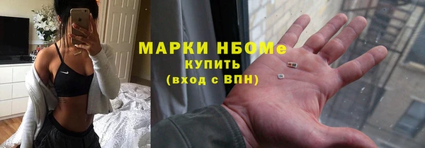 индика Алзамай