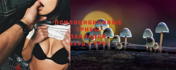 гашик Алексеевка