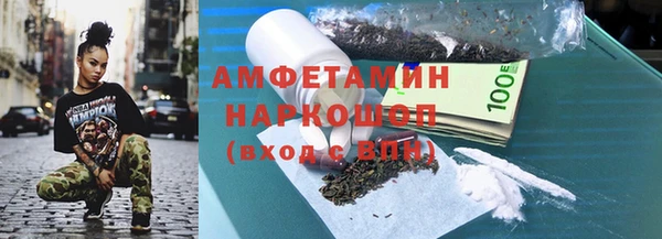 индика Алзамай