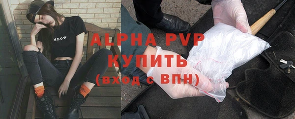 гашик Алексеевка