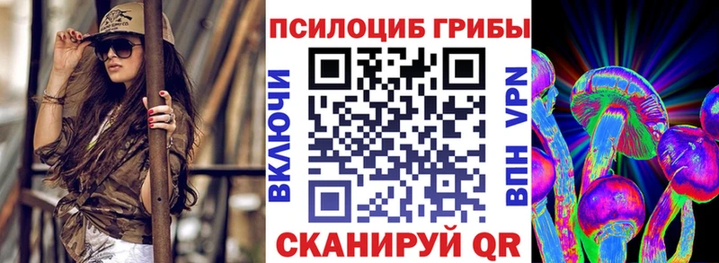 Псилоцибиновые грибы Psilocybe где можно купить наркотик Болгар